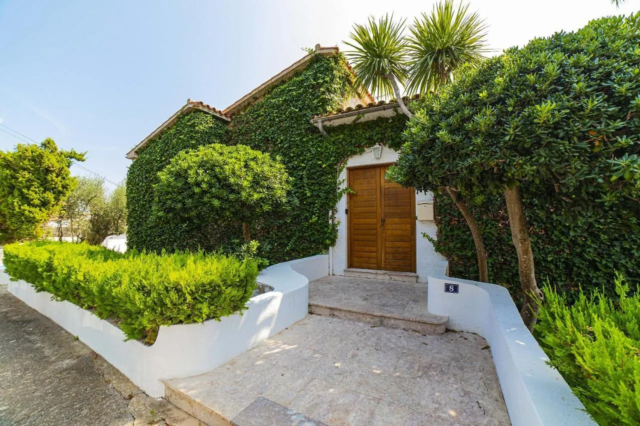 Villa President Alcudia   Alcudia (Mallorca)